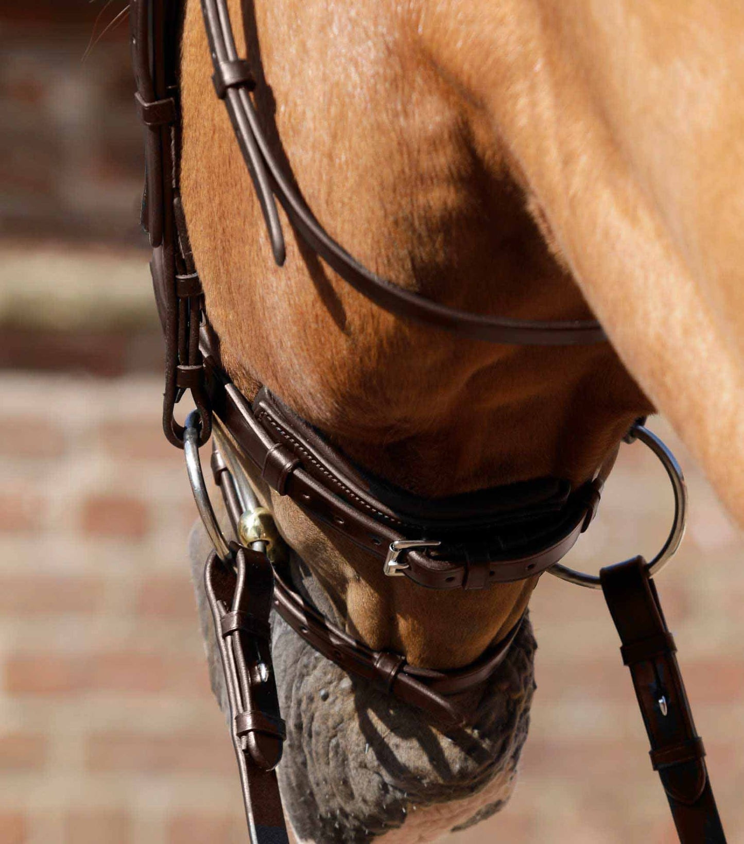 Bridon Rizzo Anatomique - Premier Equine