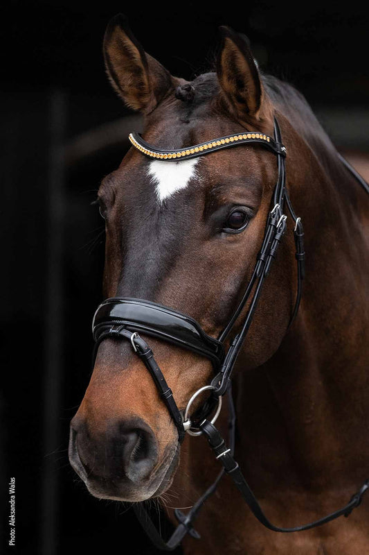 Bridon Stanton Select - Schockemöhle Sports