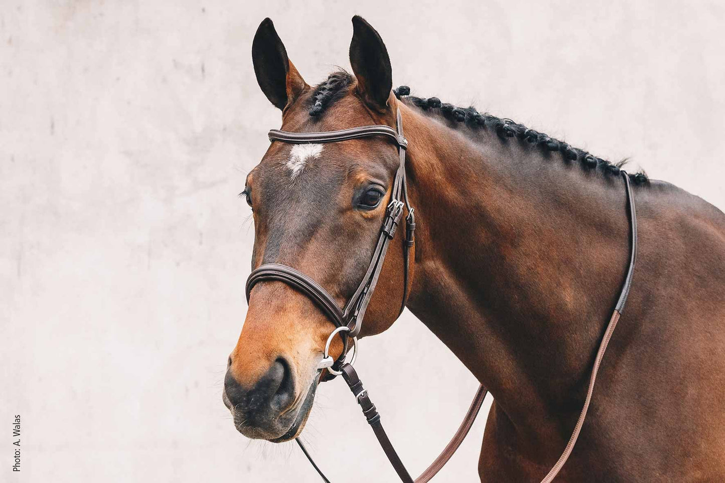 Bridle Tokyo Select, Brown - Schockemöhle Sports