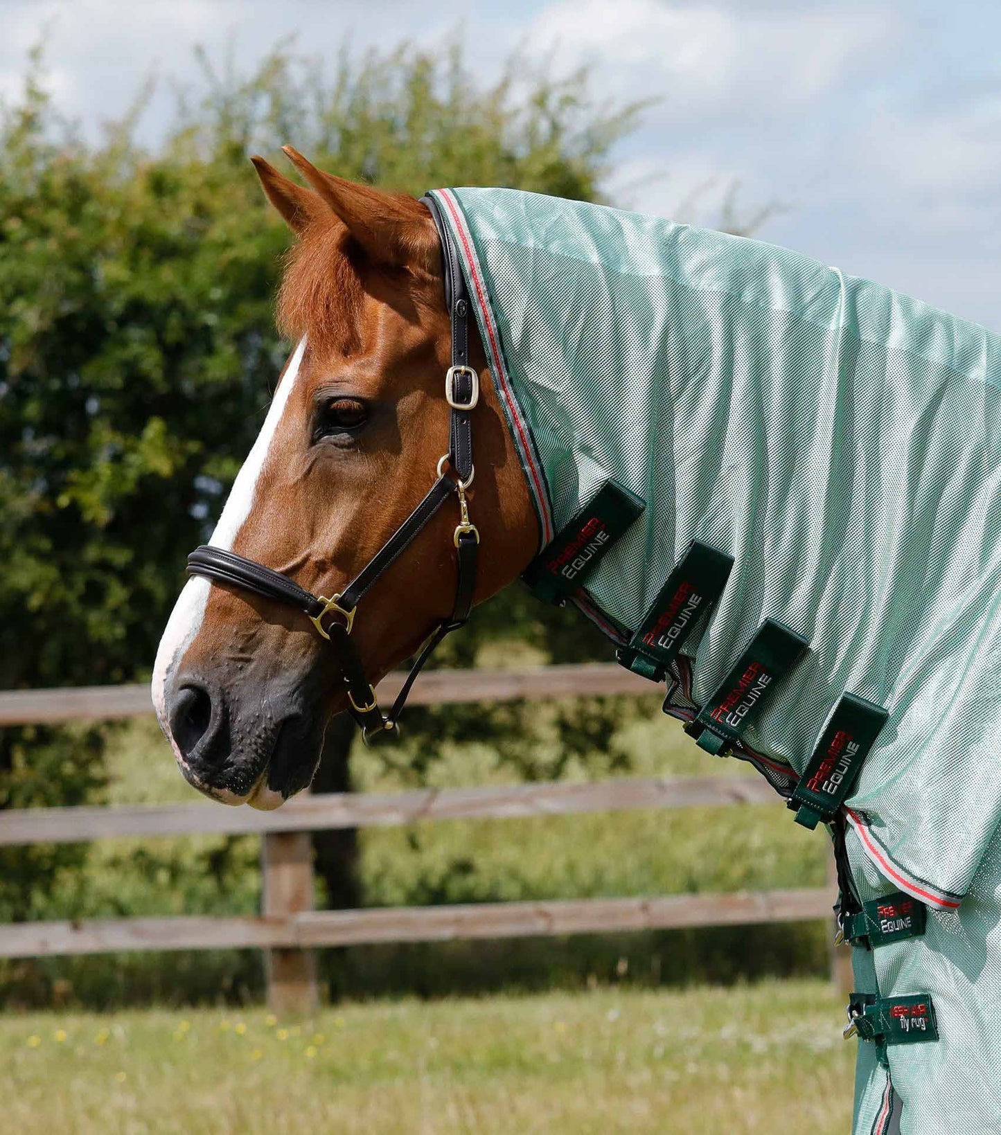 Combo Mesh Air Rug, UV fly repellent - Premier Equine