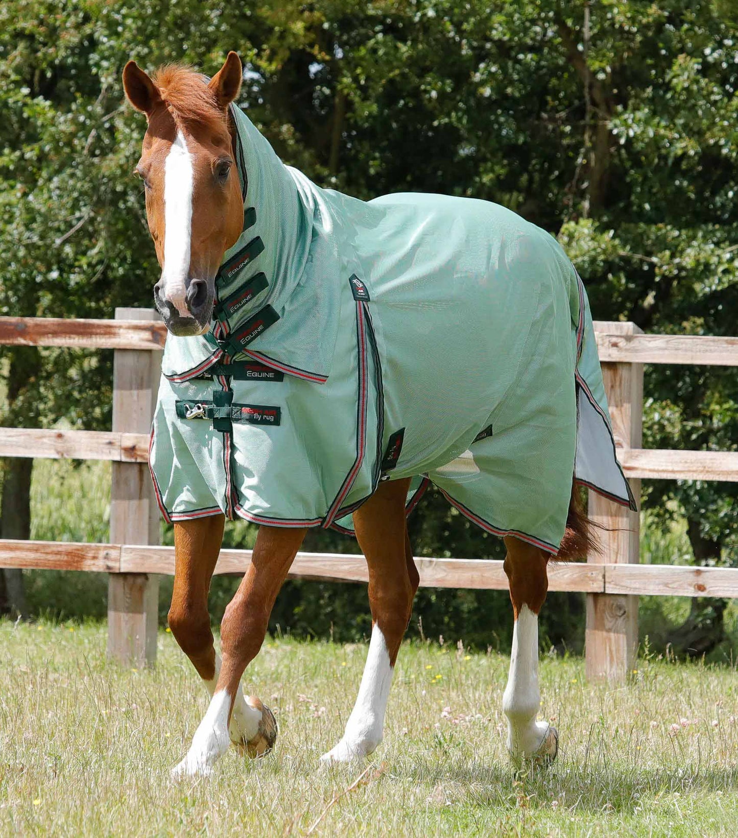 Combo Mesh Air Rug, UV fly repellent - Premier Equine