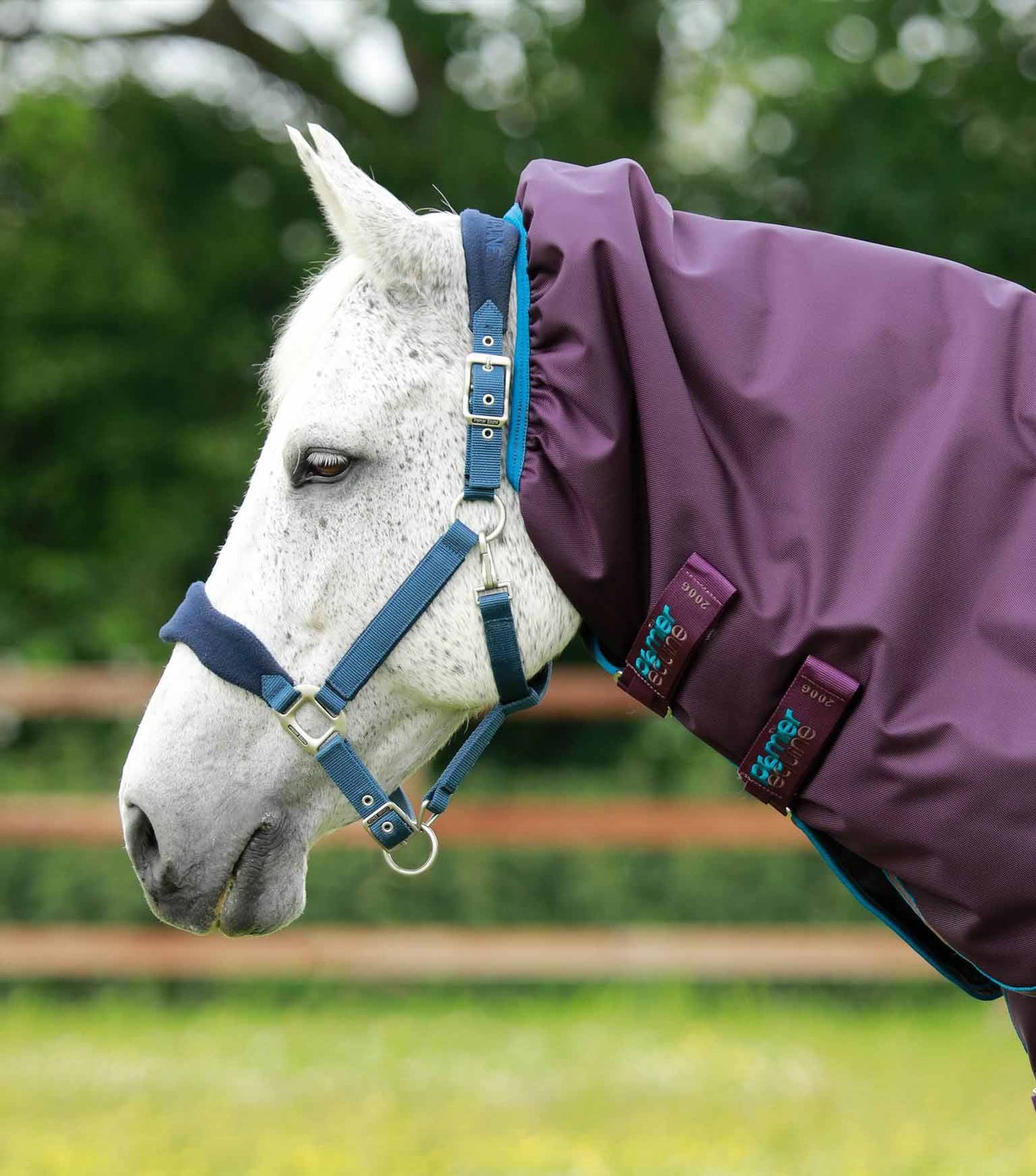 Waterproof rug, Titan 200gr Purple, detachable neck - Premier Equine