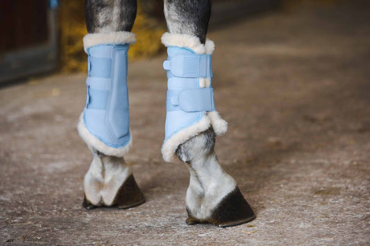 Softslate Evo-Wool Gamaschen - Eskadron Reflexx 2023