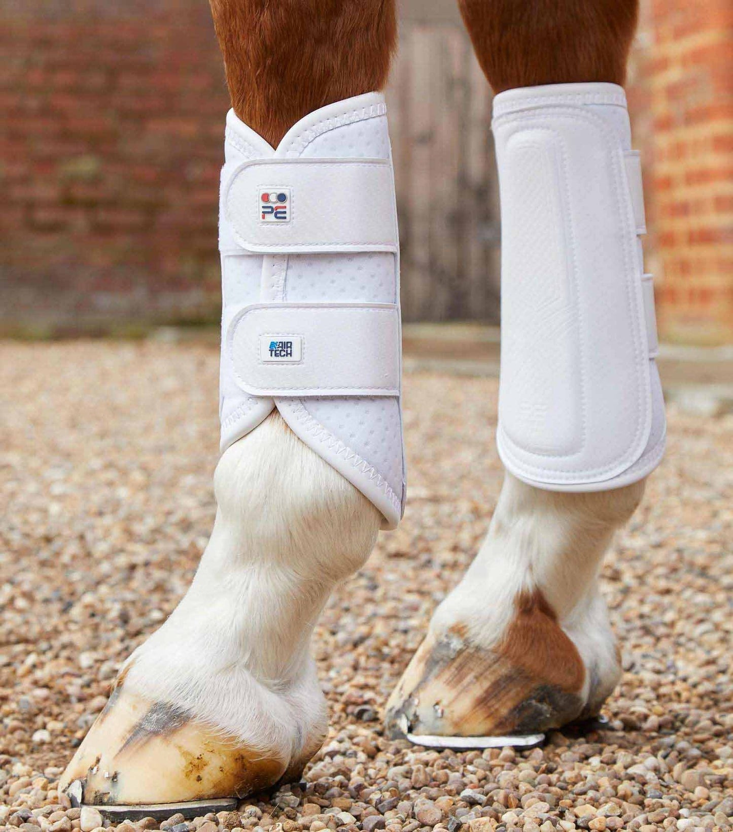 Carbon Air-Tech Double Dressurgamaschen - Premier Equine