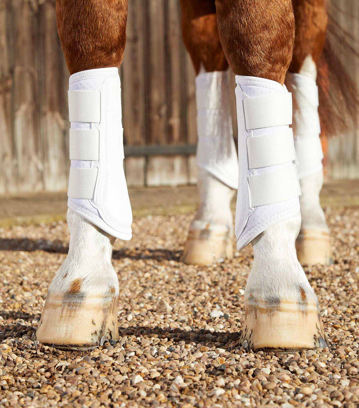 Carbon Air-Tech Dressage Boots - Premier Equine