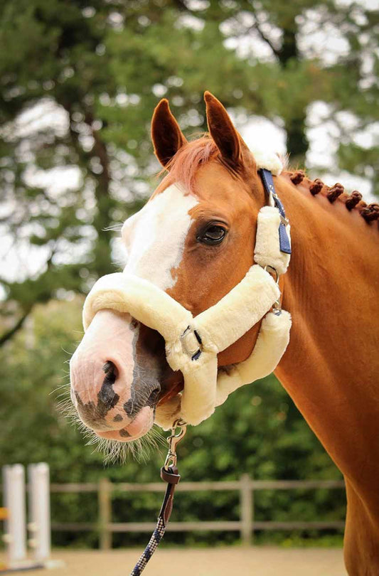Soft One Headcollar, Cream - Jump'In