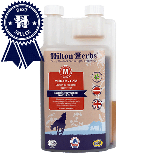 Multi-Flex Gold - Hilton Herbs