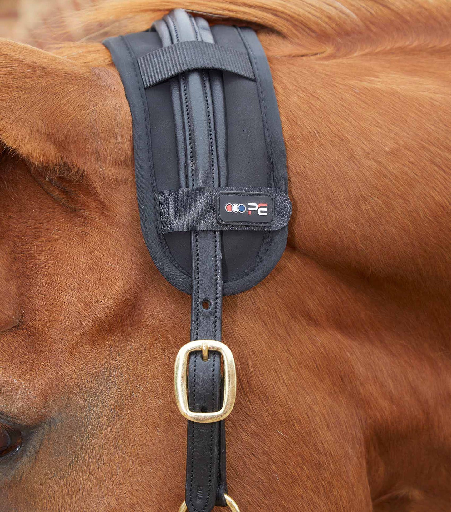 Pad de nuque magnétique cheval - Premier Equine
