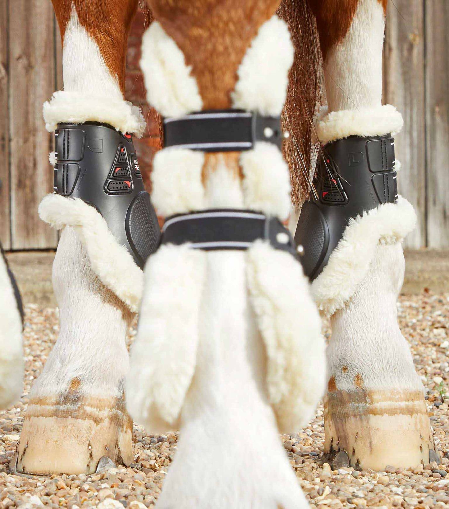 Guêtres Techno wool, noir - Premier equine