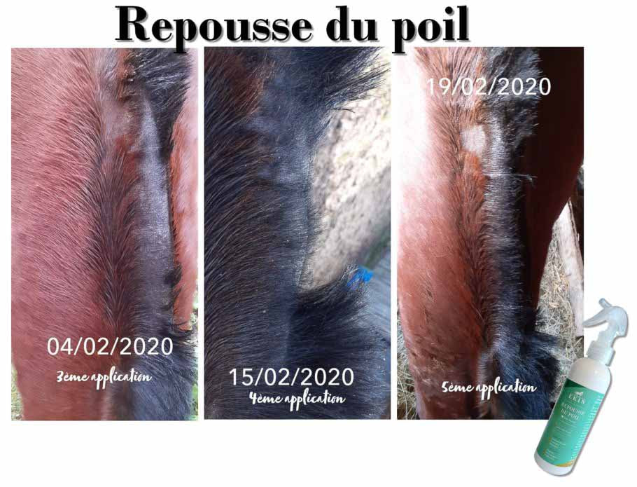 Repousse poils - EKIN