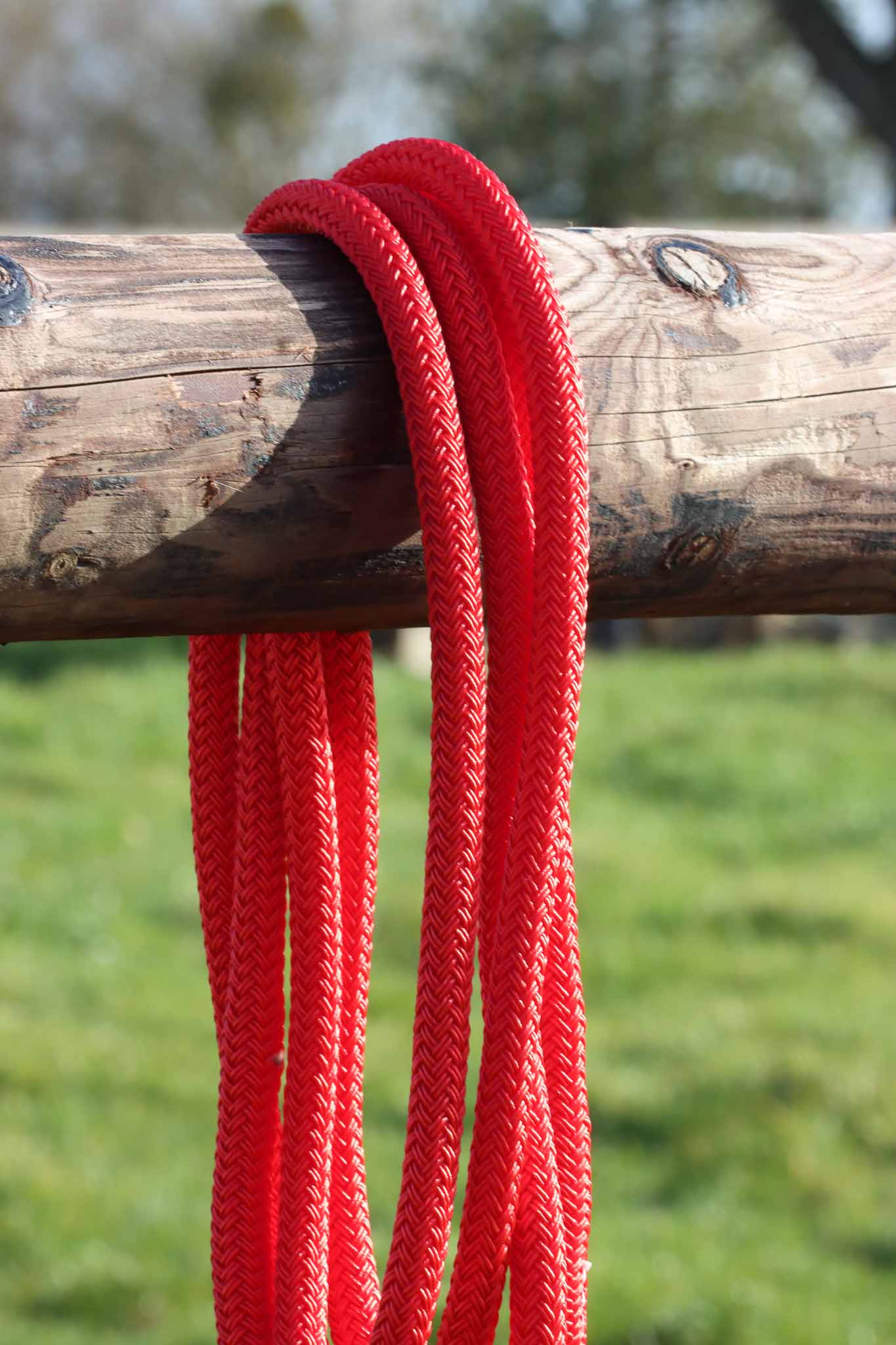 Longe Ethologique 3.70m, Rouge - Brockamp