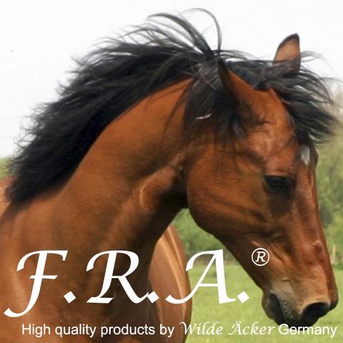 F.R.A, Freedoom Riding Articles