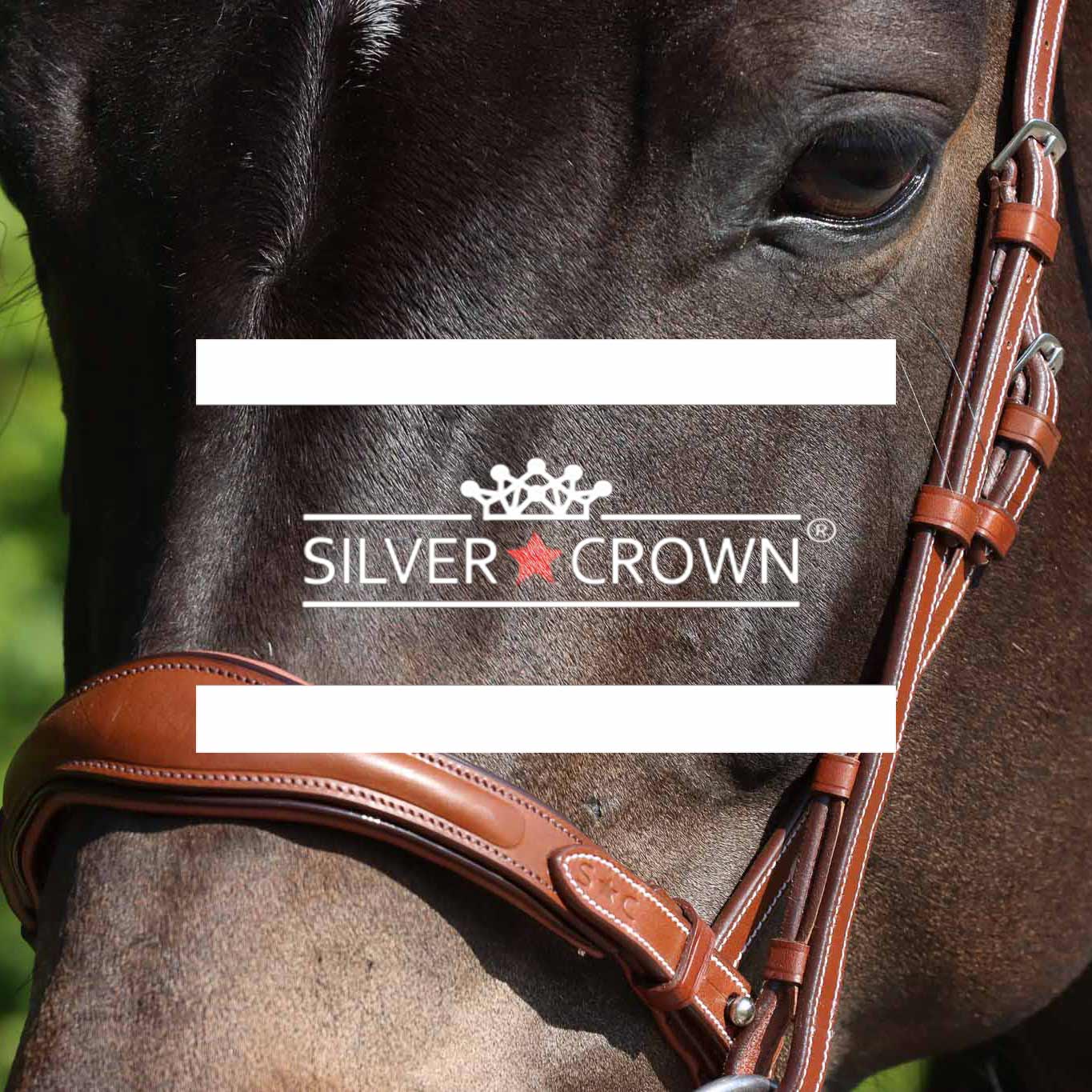 Silver Crown