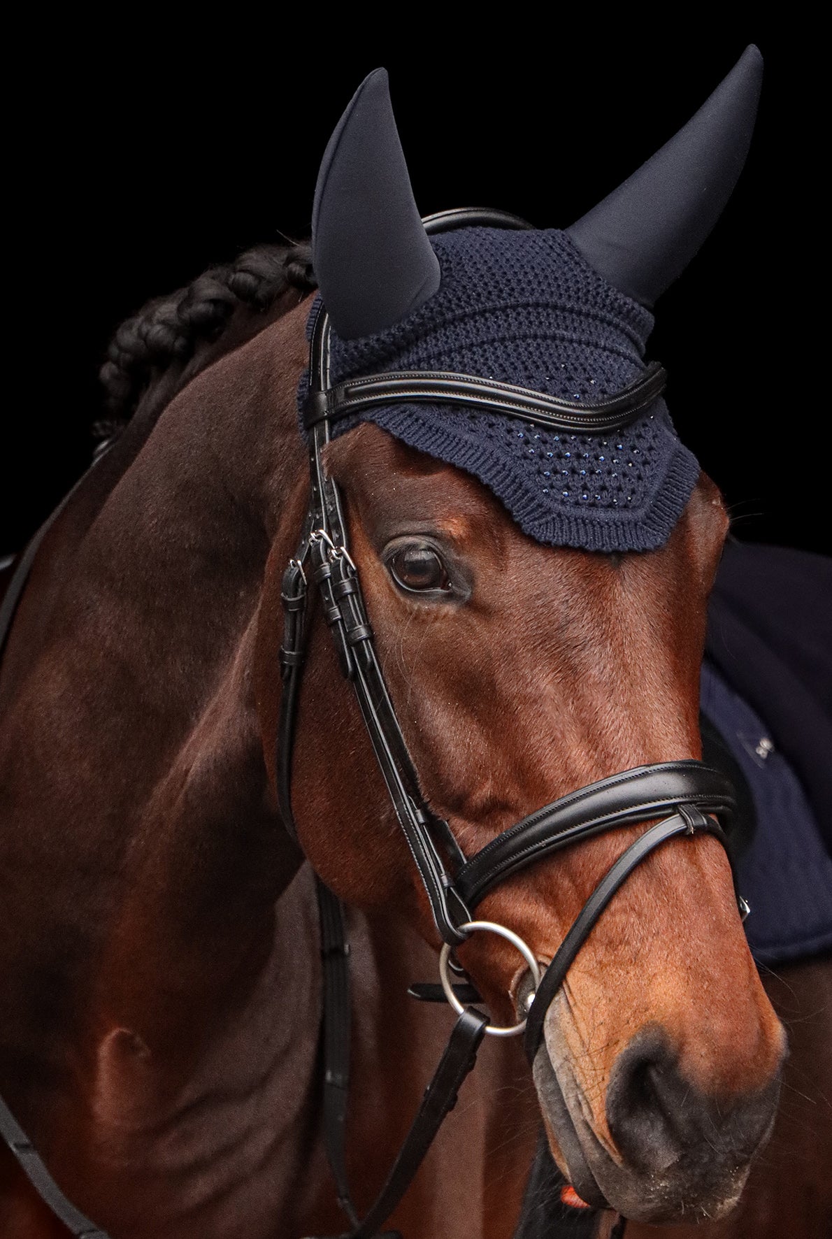 Bonnet anti-bruit Elegant Spark - Schockemöhle SS26