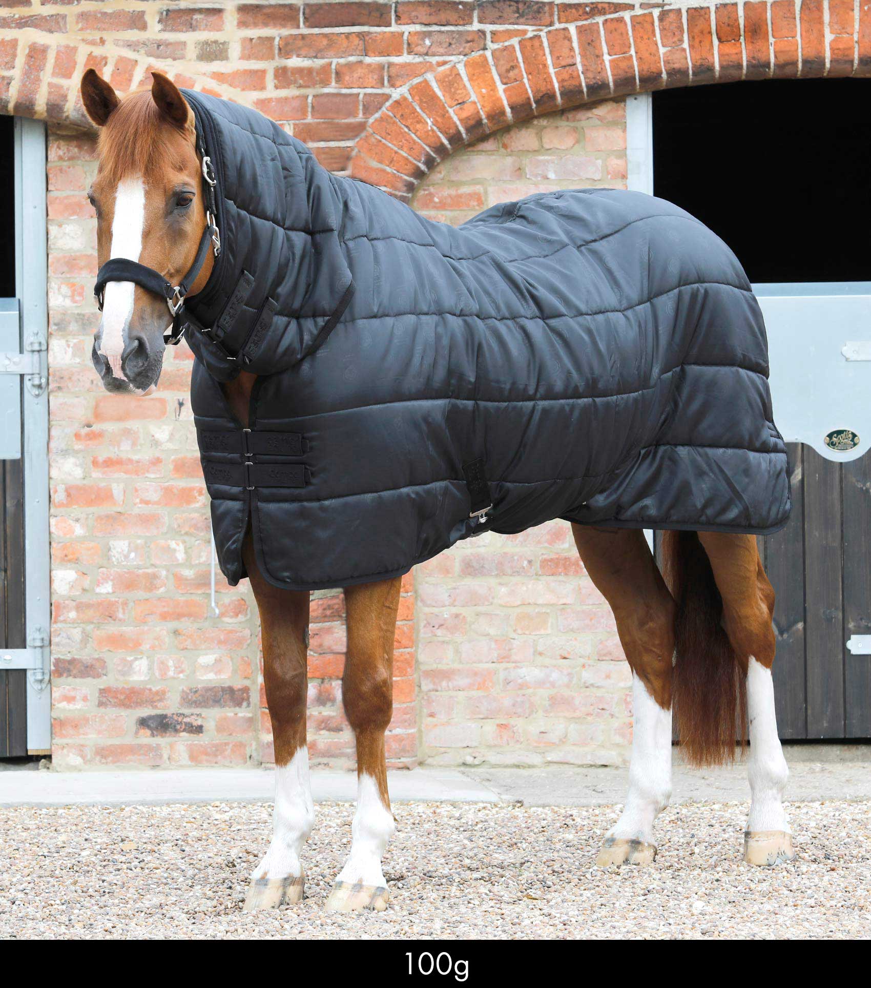 Couverture Intégrale pour Cheval – Protection Totale contre Couverture Intégrale pour Cheval – Protection Totale contre