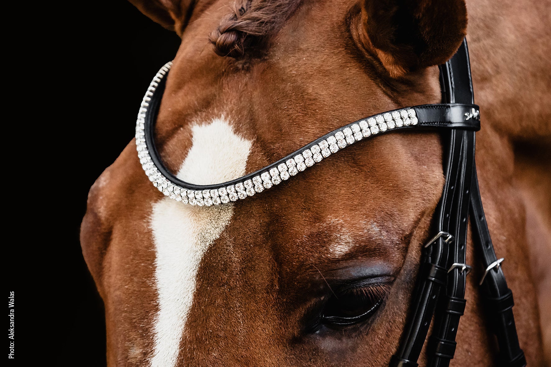 Bridon SP Valencia, noir vernis - Schockemöhle