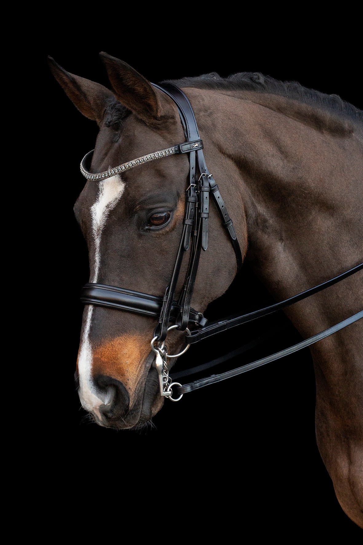 Bride Brindisi, Black/grey/silver - Schockemöhle Sports