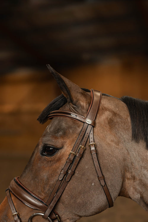 Bridon Pull-Back "EDGES", brun - HFI