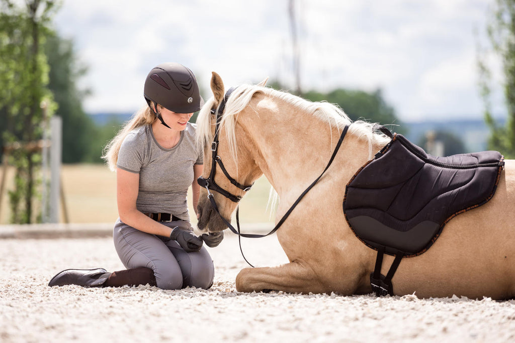 Tapis de monte à cru, Dardo, brun - F.R.A
