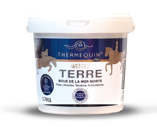 Terre-boue de la mer morte - Thermequin