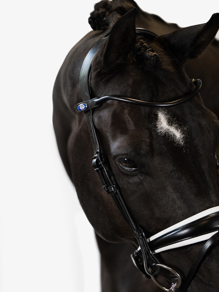 Schwarze GP Trense mit weißem Nasenband - PS of Sweden