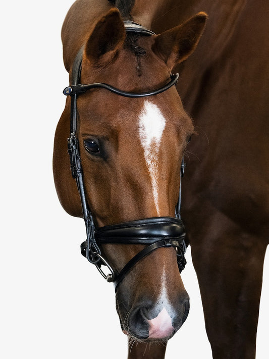 Bridle GP black - PS of Sweden