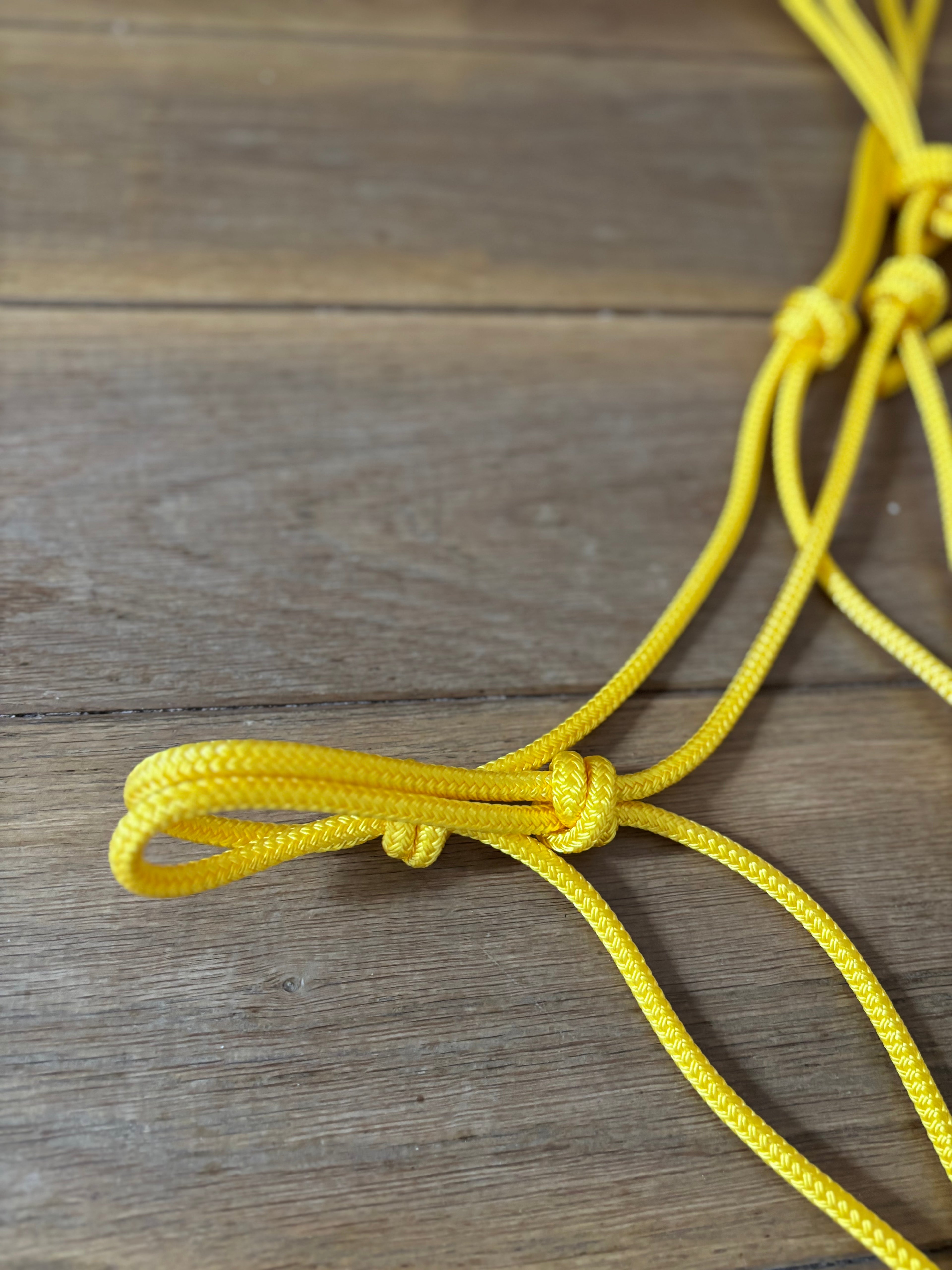 Licol Ethologique, Jaune - Brockamp