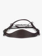 Bridle Helsinki - PS of Sweden