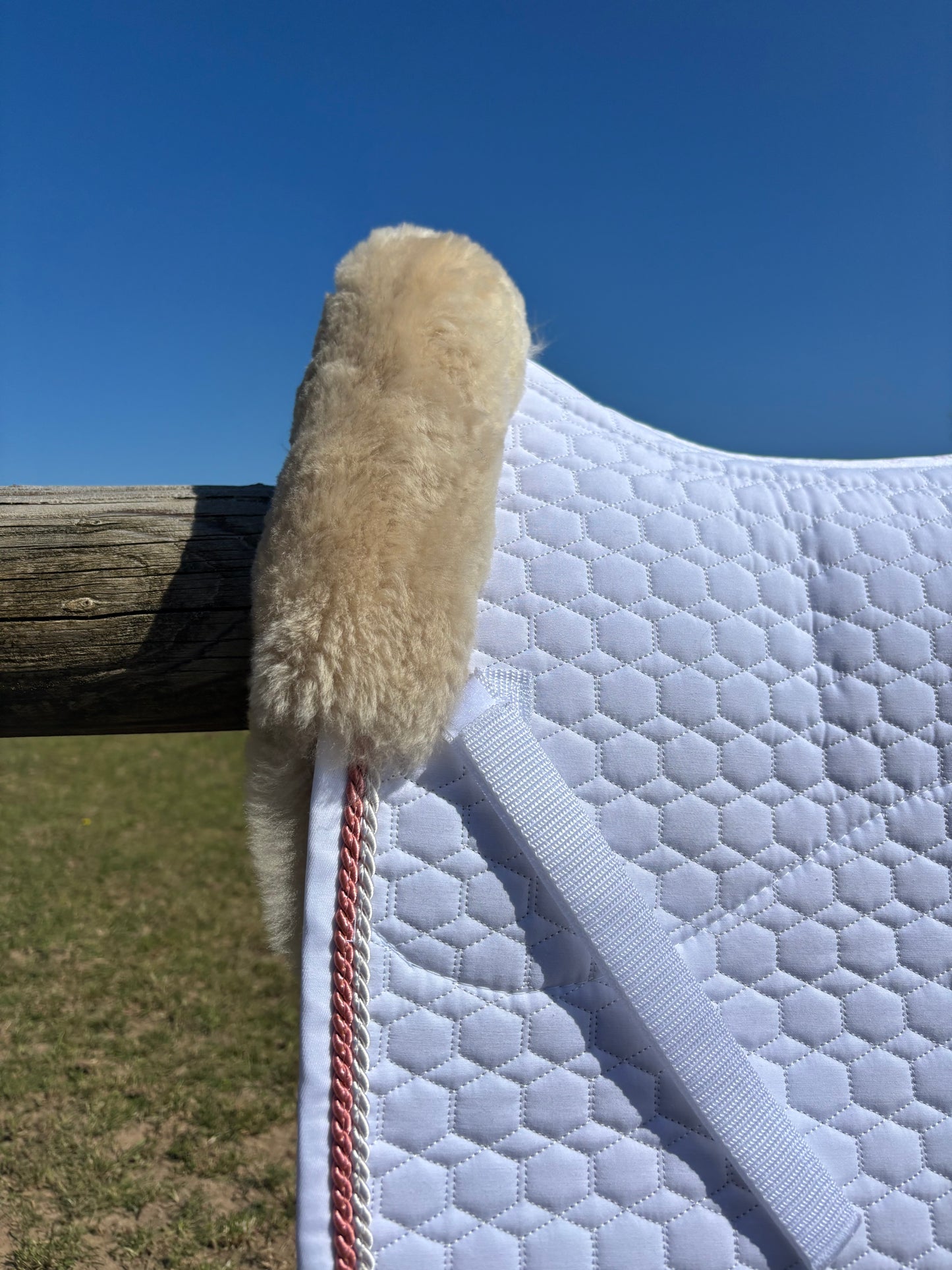 Tapis de dressage Blanc, mouton Platin, bord perle / bonbon - Mattes
