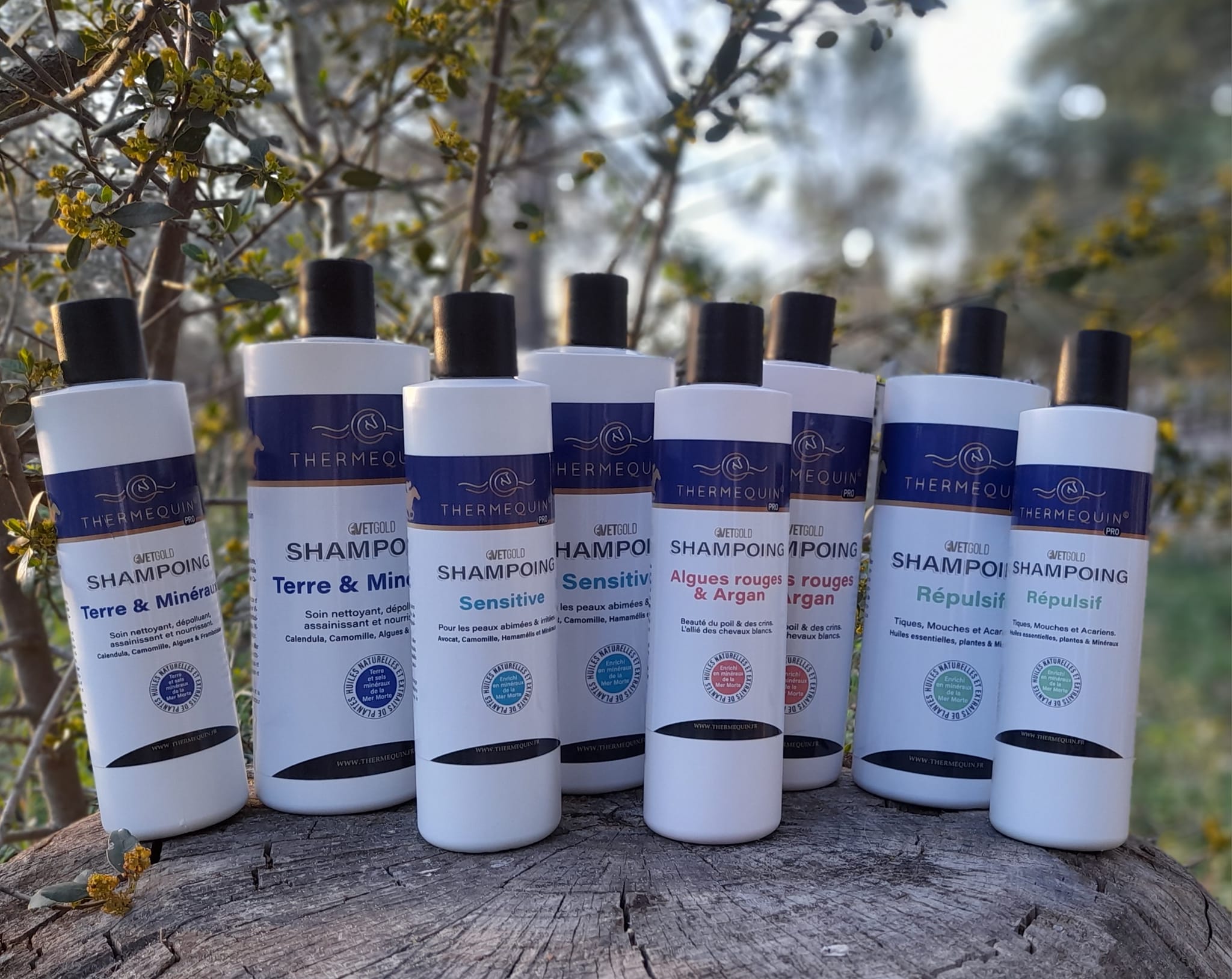 Shampoing Sensitive, peaux sensibles et irritées, 500ml - Thermequin