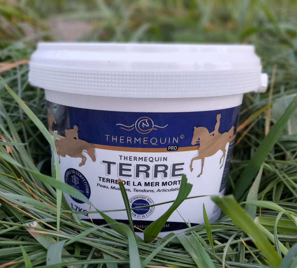 Terre-boue de la mer morte - Thermequin