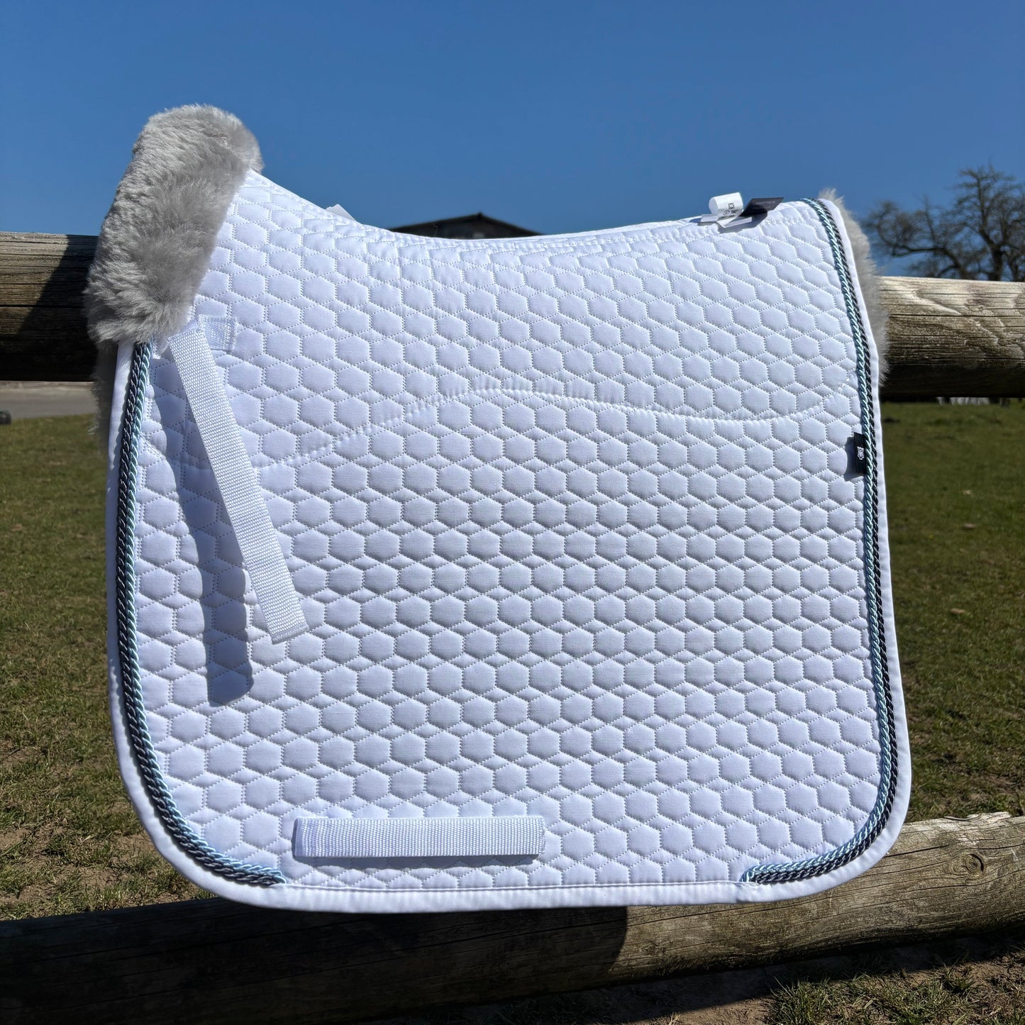 Tapis de dressage blanc, mouton gris, bord titan / bleu glacé - Mattes