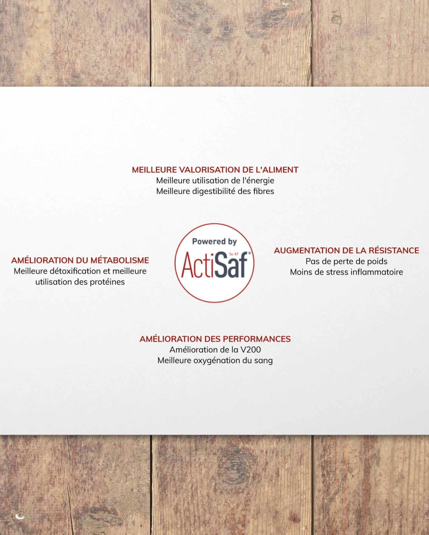 EW Articulation, l’aliment complémentaire idéal pour prendre soin des articulations du cheval - EW Saumur