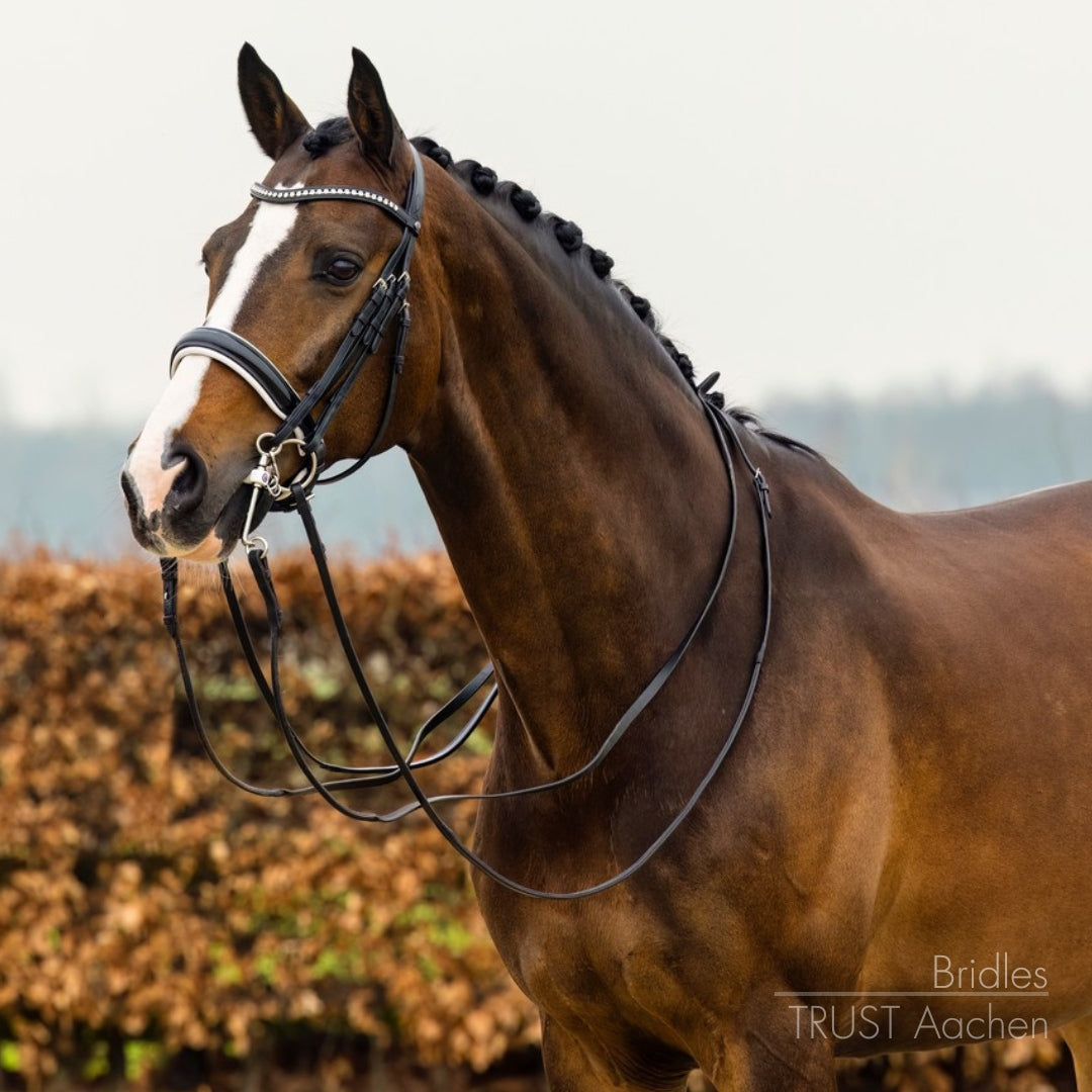 Bride Aachen noir vernis - Trust Equestrian