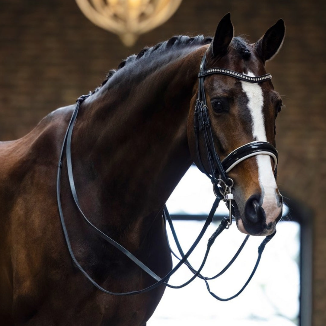 Bride Aachen noir vernis - Trust Equestrian