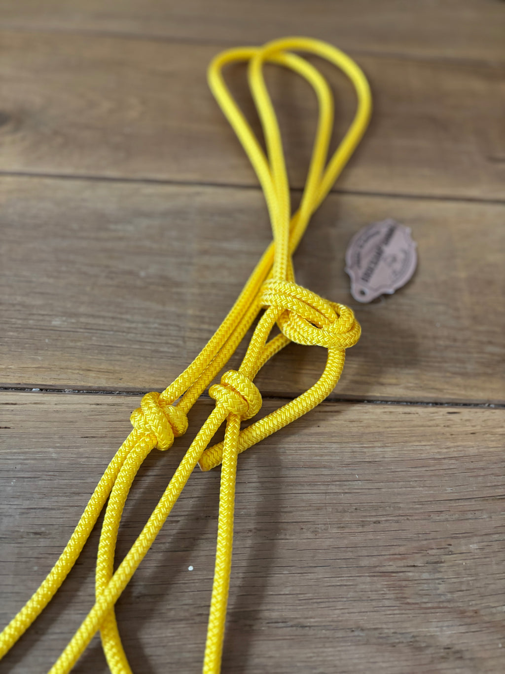 Licol Ethologique, Jaune - Brockamp