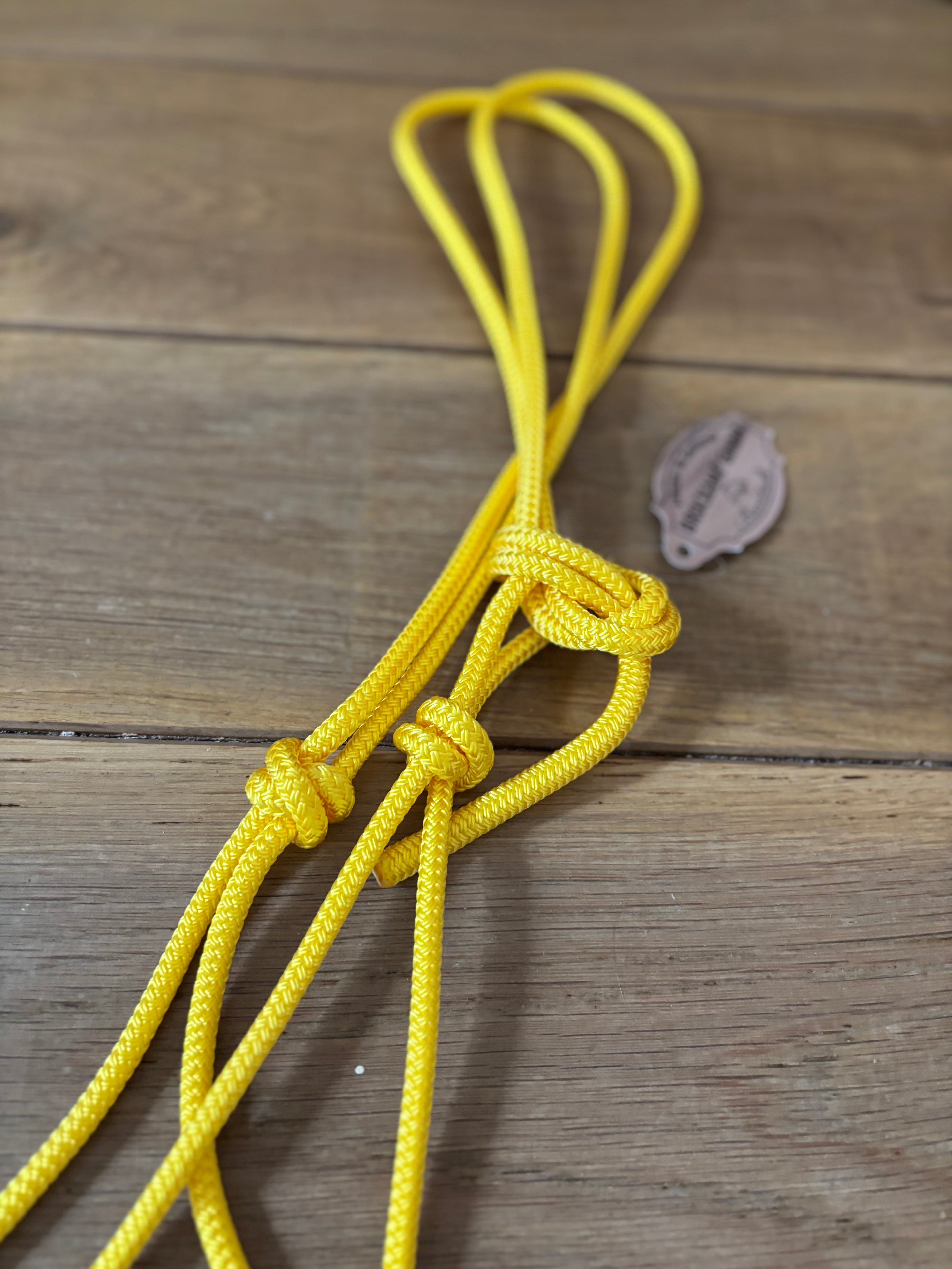 Licol Ethologique, Jaune - Brockamp