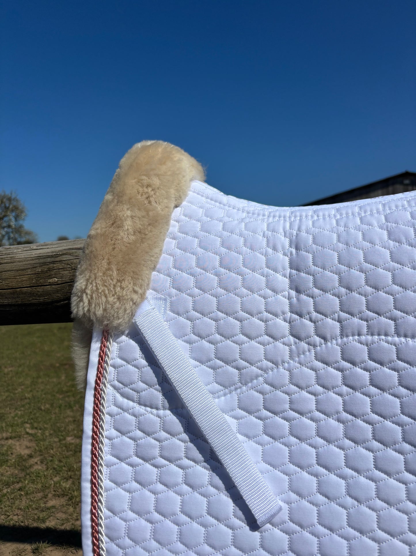 Tapis de dressage Blanc, mouton Platin, bord perle / bonbon - Mattes