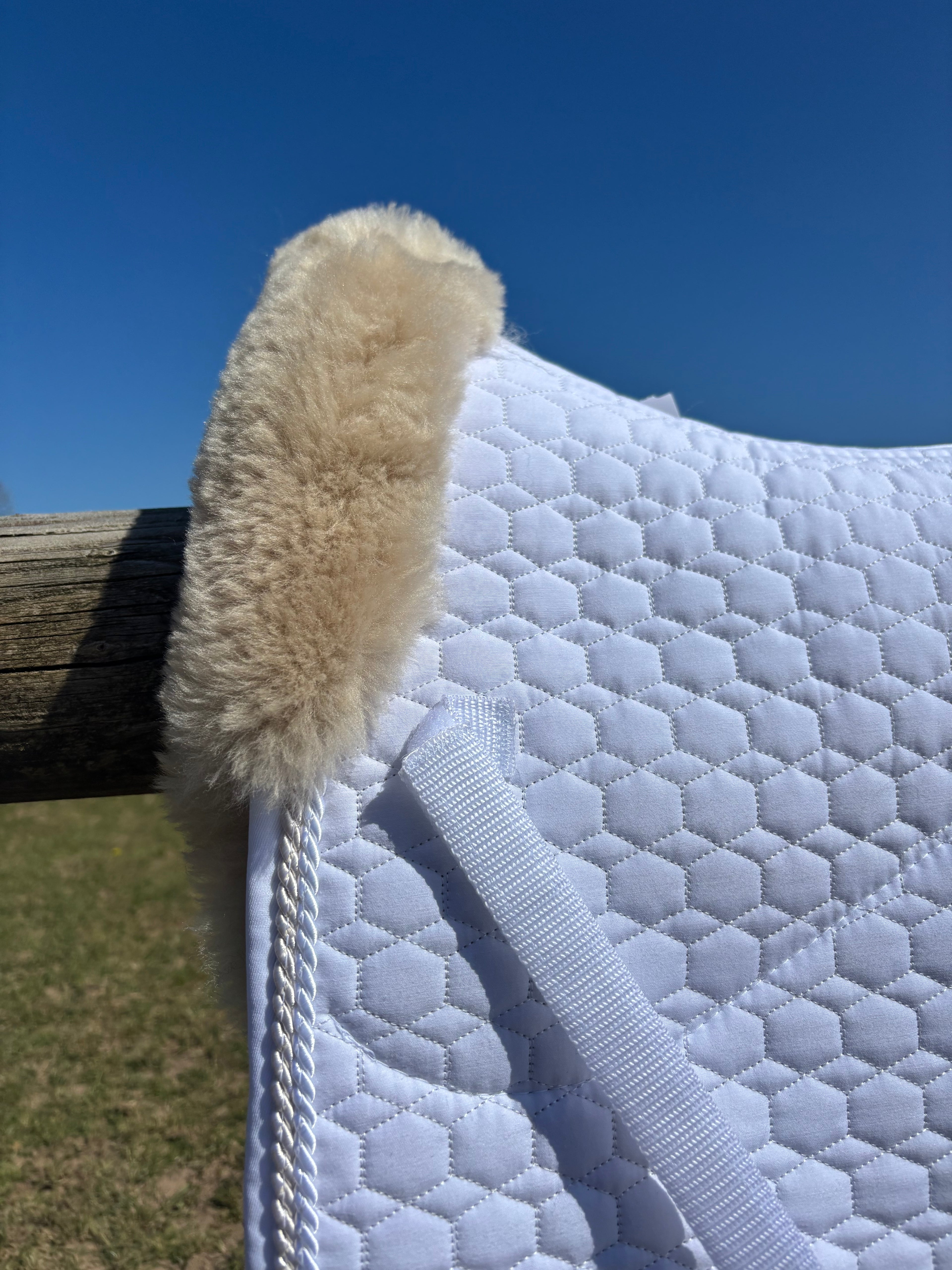 Tapis de dressage blanc, mouton Platin, bord perle / blanc - Mattes