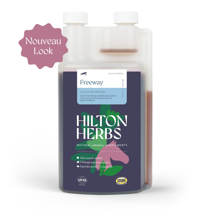 Freeway - Hilton Herbs