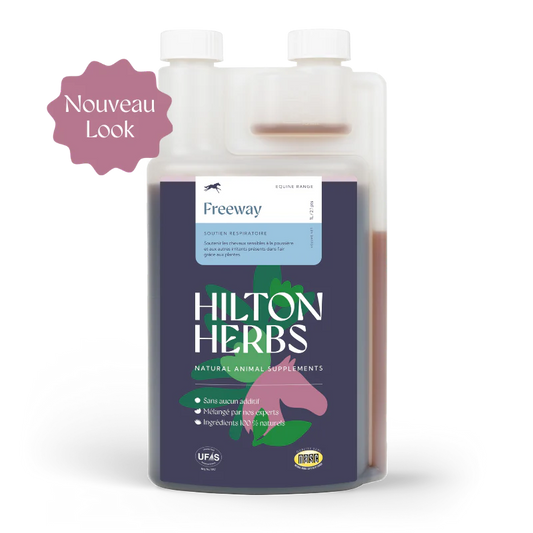 Freeway - Hilton Herbs