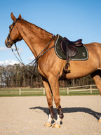 Tapis Élite, Dark Green - Ps of Sweden