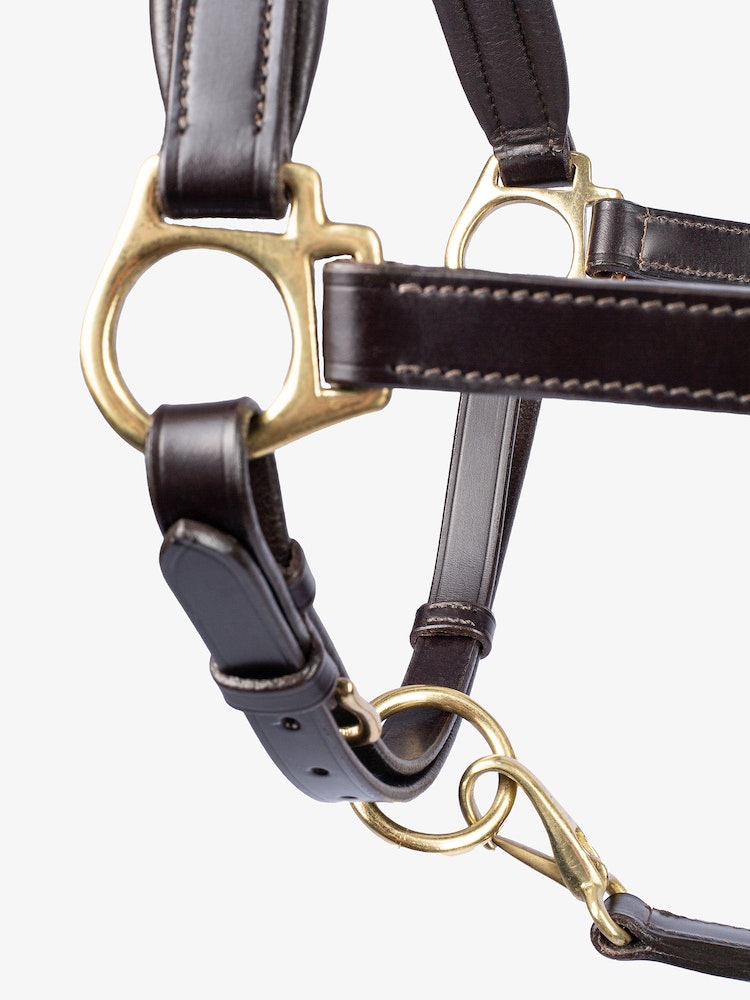 Licol en cuir - Ps of Sweden Fall 2023