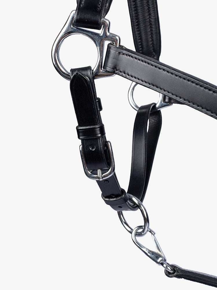 Licol en cuir - Ps of Sweden Fall 2023