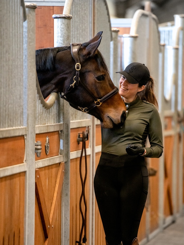 Licol en cuir - Ps of Sweden