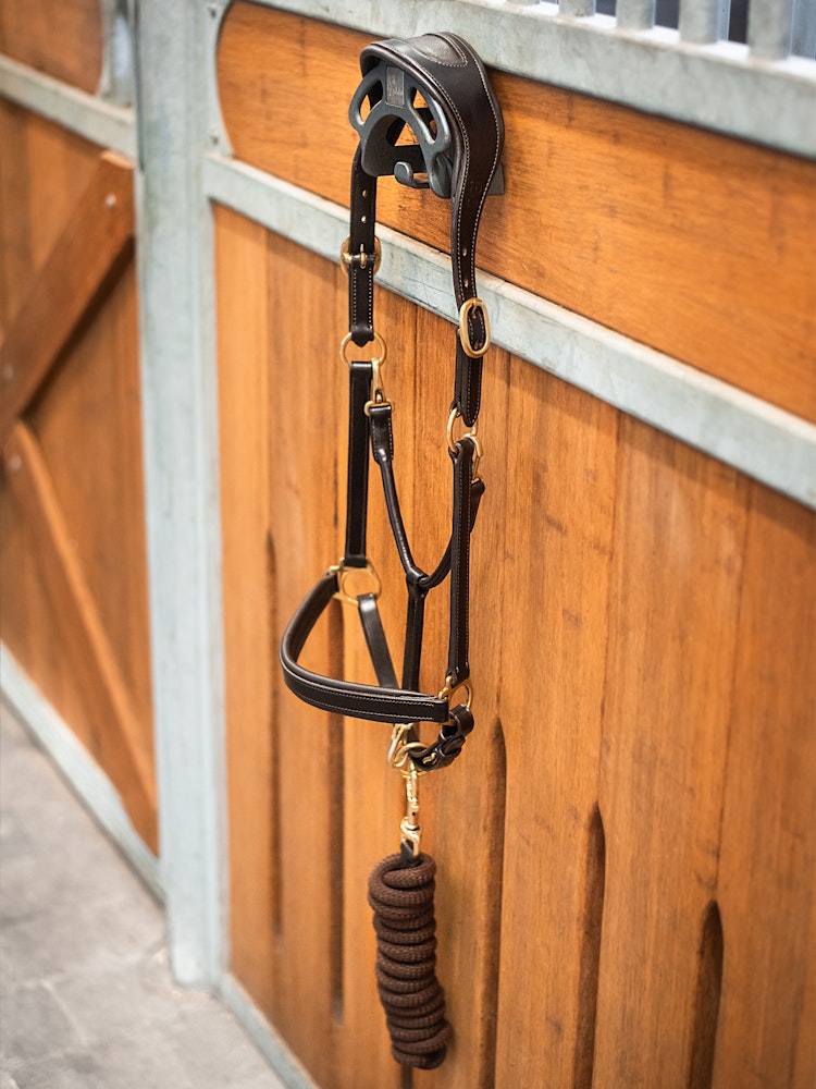 Licol en cuir - Ps of Sweden