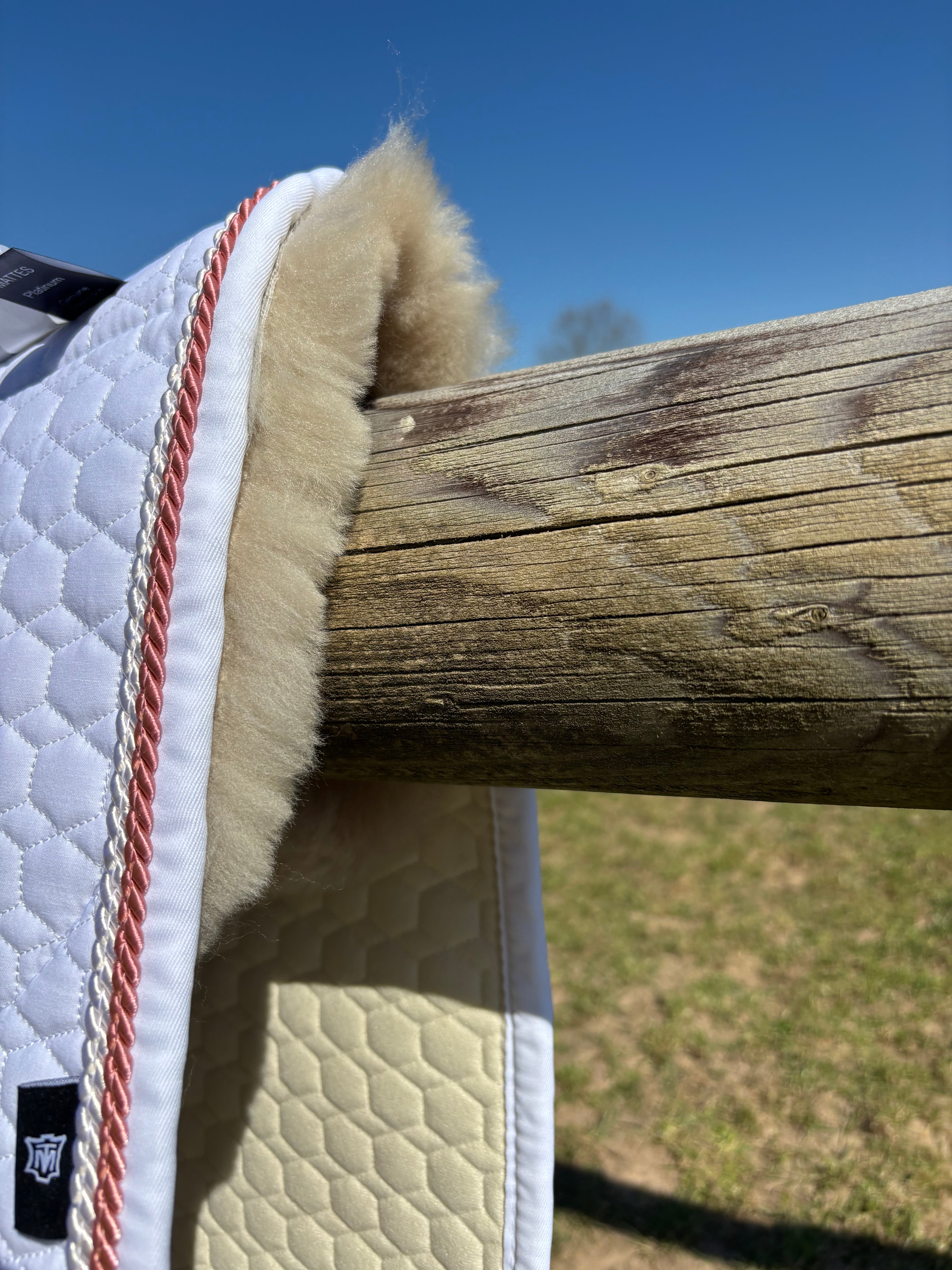 Tapis de dressage Blanc, mouton Platin, bord perle / bonbon - Mattes