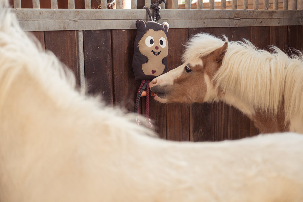 Jouet Hasmter - Eskadron Héritage 25/26