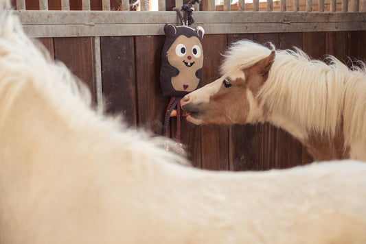 Jouet Hasmter - Eskadron Héritage 25/26