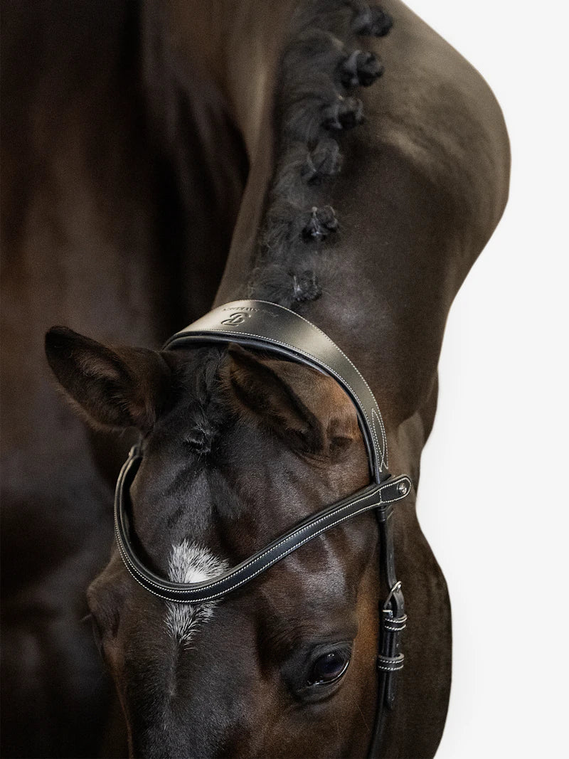 Bridle Helsinki - PS of Sweden